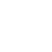 local shipping fill icon 1