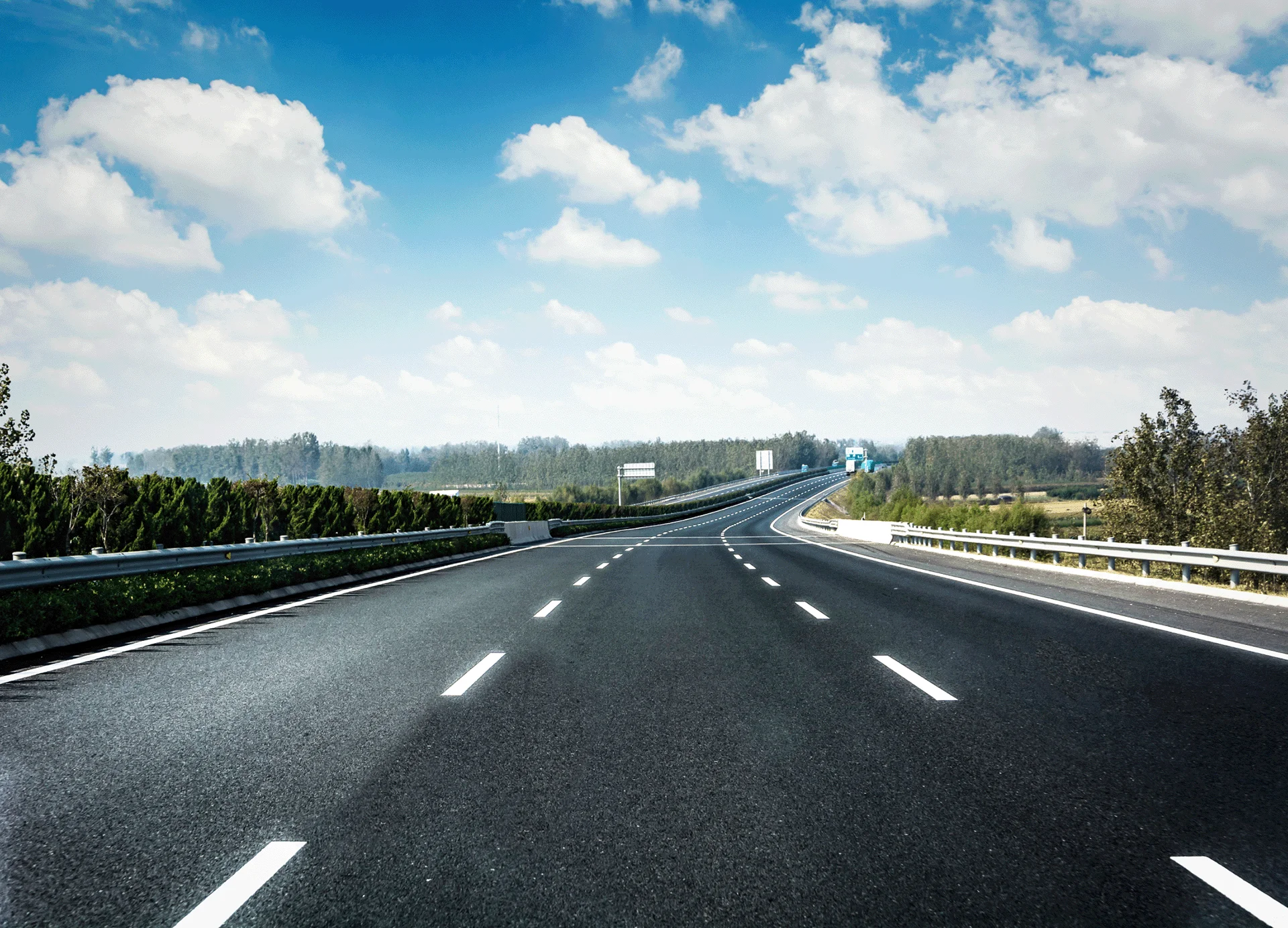 road forest 1 1